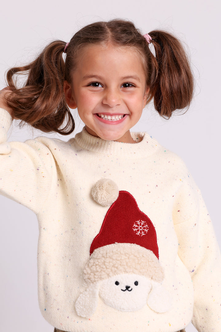 FESTIVE PUPPY PULLOVER