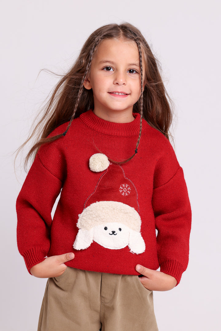 FESTIVE PUPPY PULLOVER