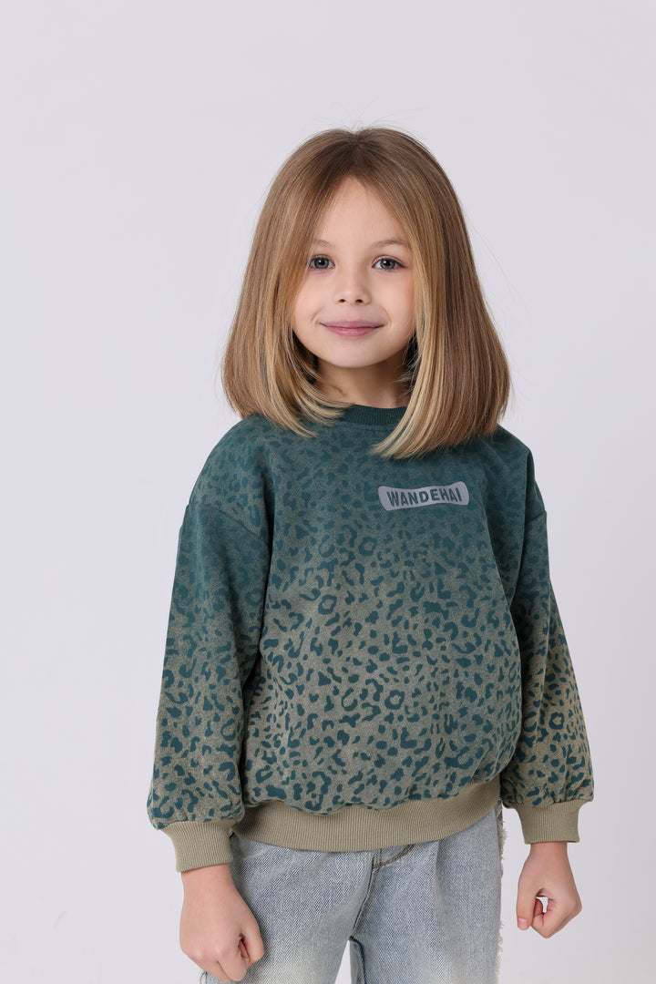 Wild Animal Print Ombre Sweatshirt