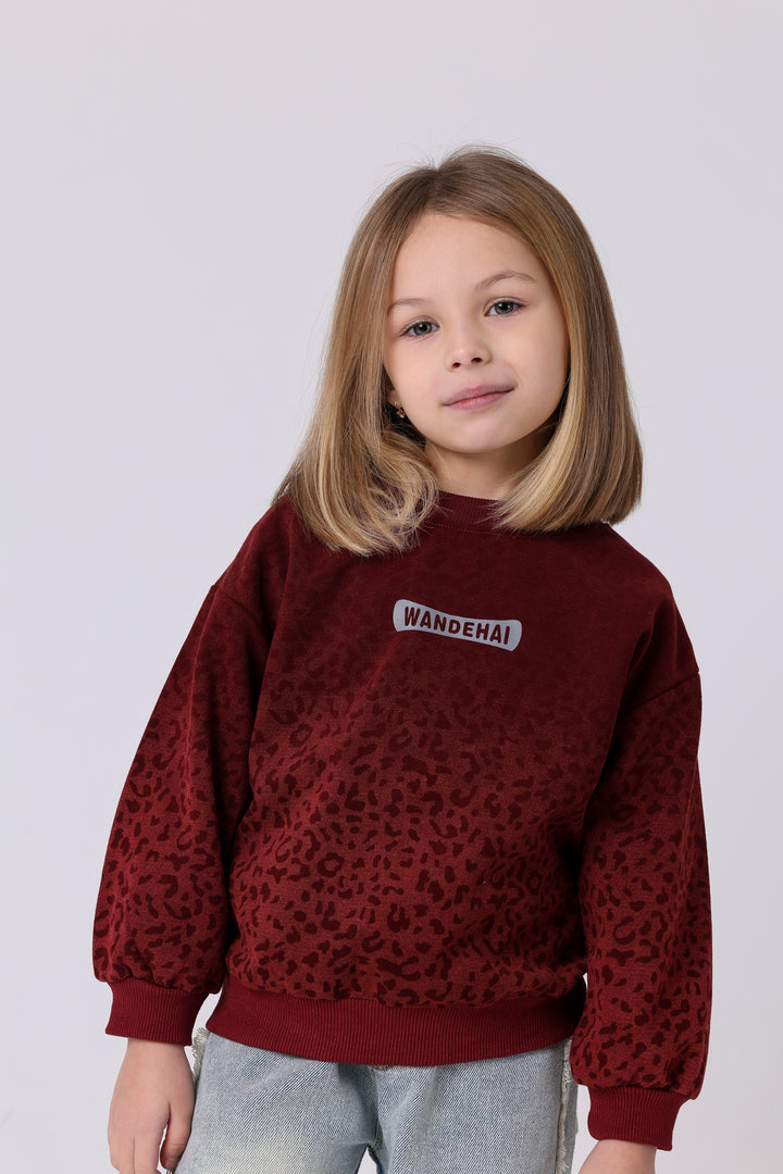 Wild Animal Print Ombre Sweatshirt