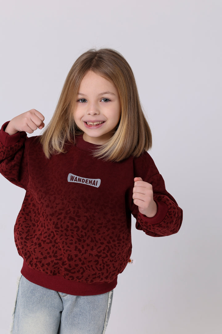 Wild Animal Print Ombre Sweatshirt