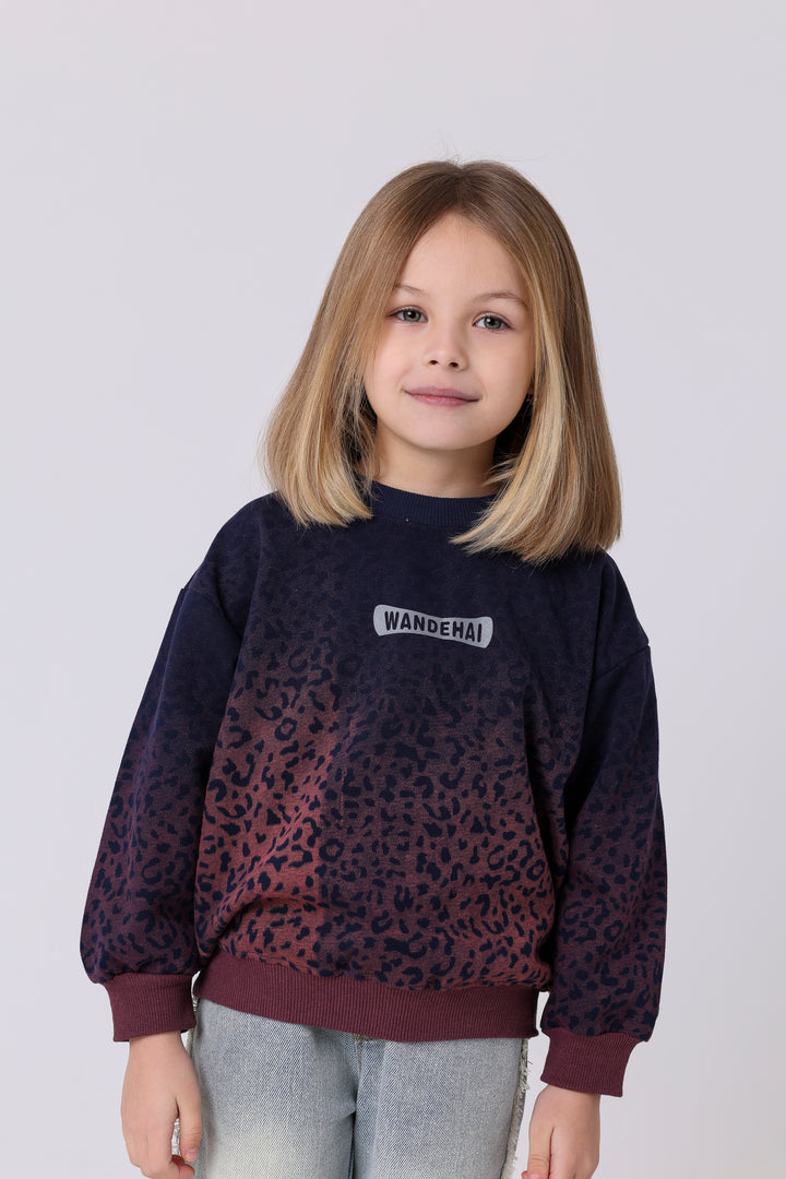Wild Animal Print Ombre Sweatshirt