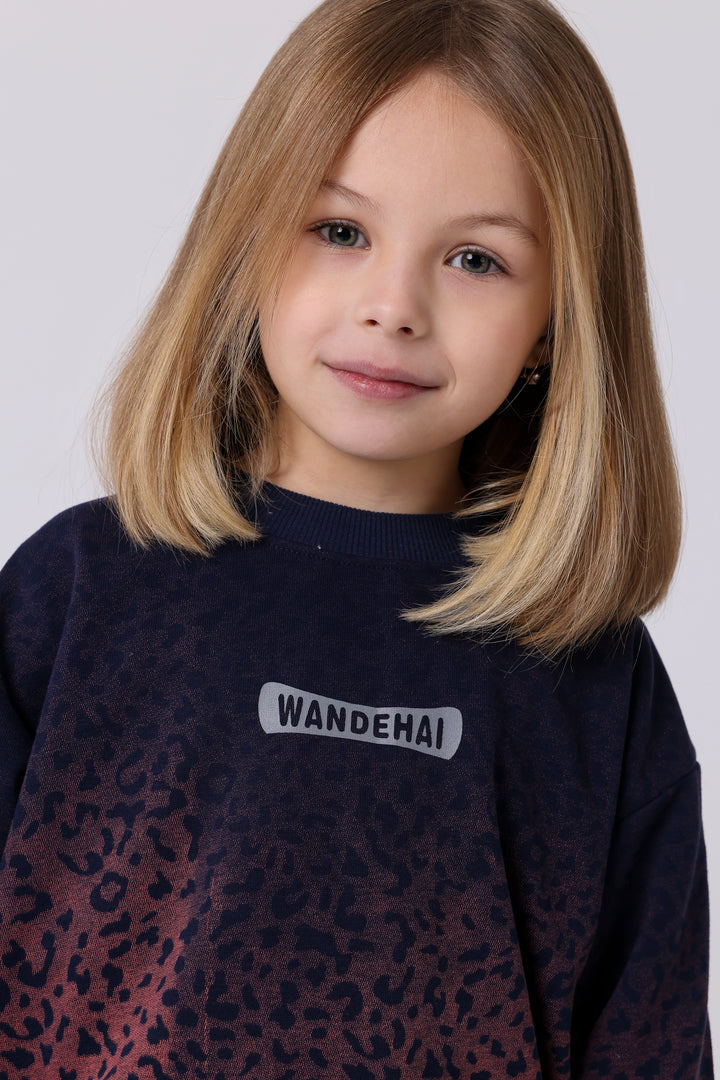 Wild Animal Print Ombre Sweatshirt